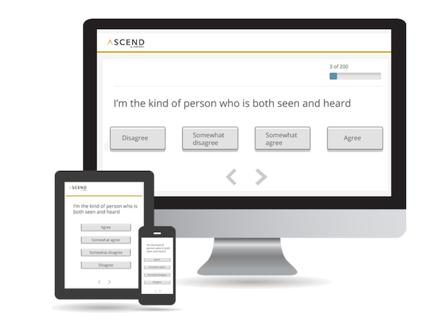 Screenshot of the Ascend Map Big 5 personality test