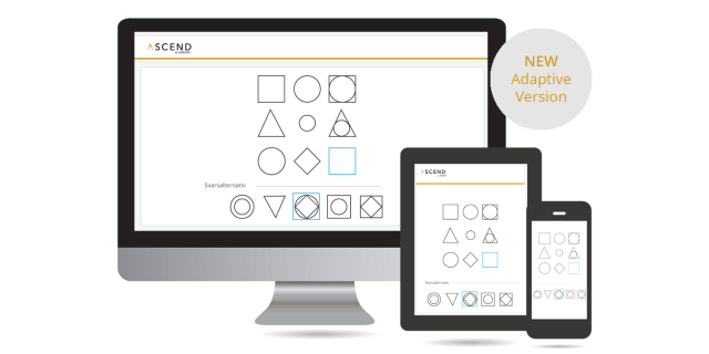 Screenshot of the Ascend Matrigma non verbal cognitive test