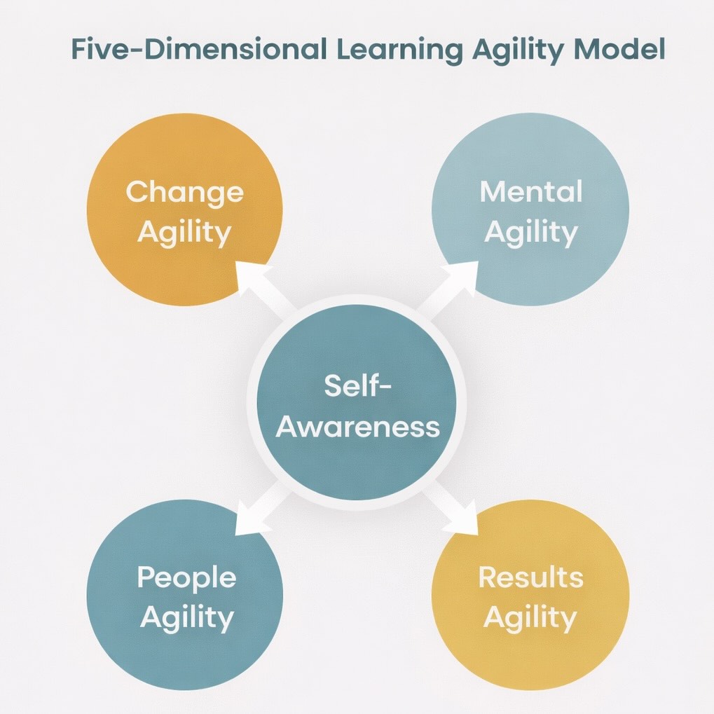 Infographic showing the 5 dimentions